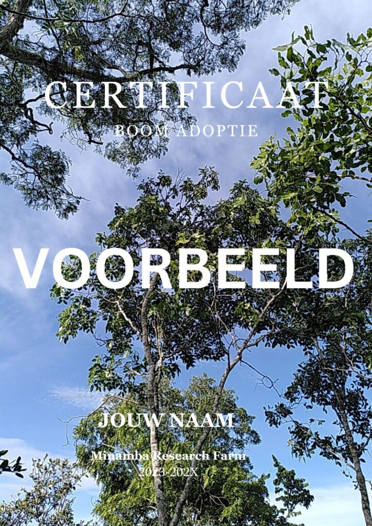 voorbeeld boom certificaat